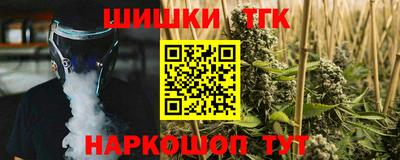 прущие грибы Шахты